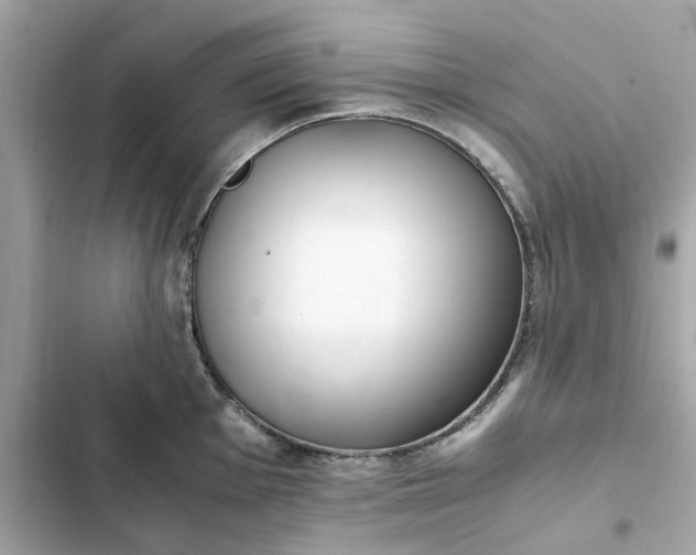 X0000102371001200808151831