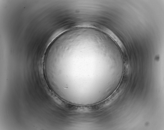 X0000102371002200808151831