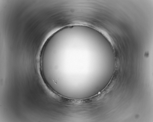 X0000102371003200808151831