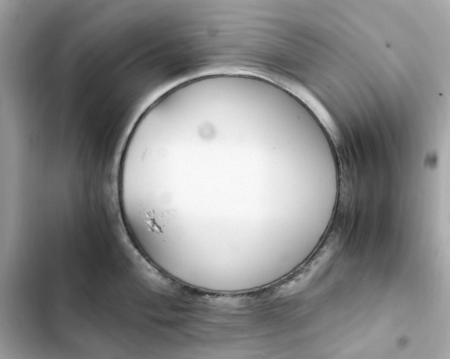 X0000102371004200808151831