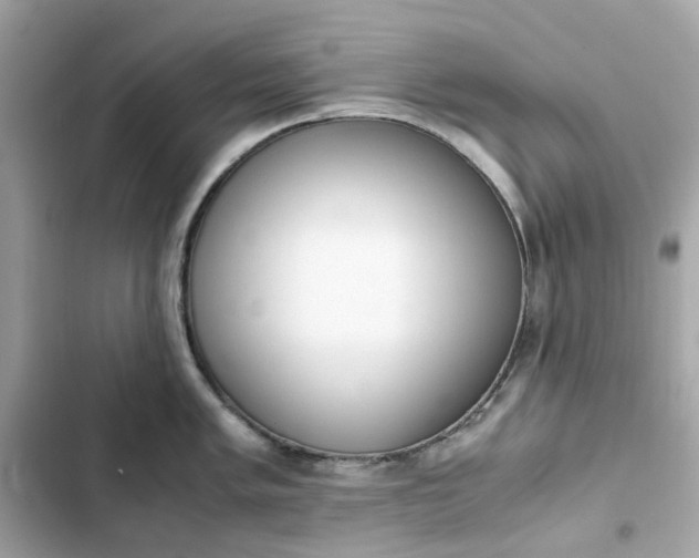 X0000102371005200808151831