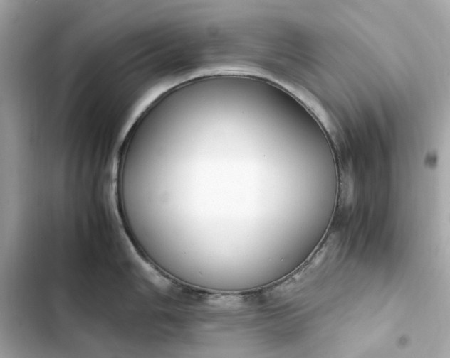 X0000102371006200808151831