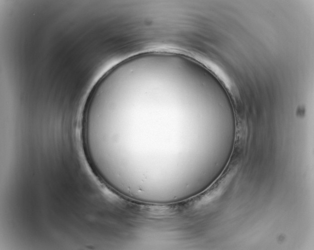 X0000102371007200808151831