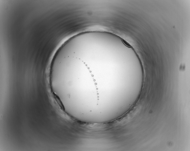 X0000102371008200808151831