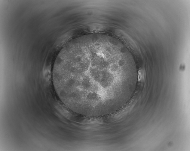 X0000102371011200808151830