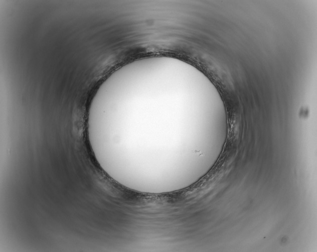 X0000102371012200808151830