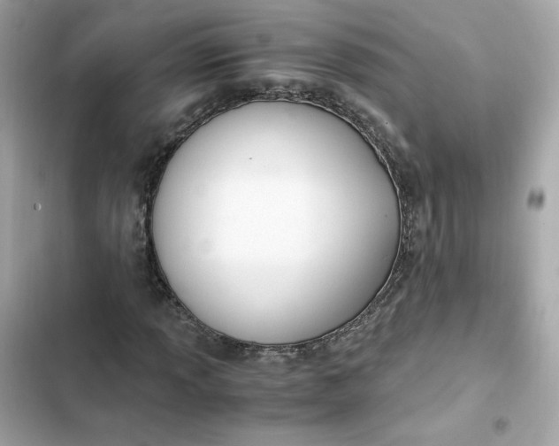 X0000102371013200808151830