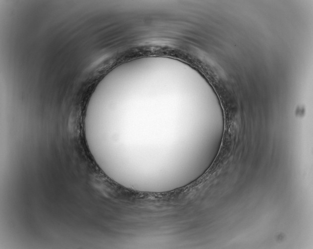 X0000102371014200808151830