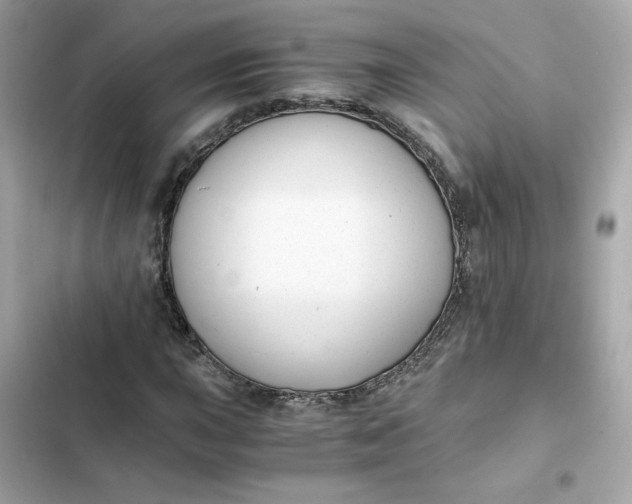 X0000102371015200808151830