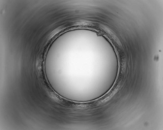 X0000102371017200808151830