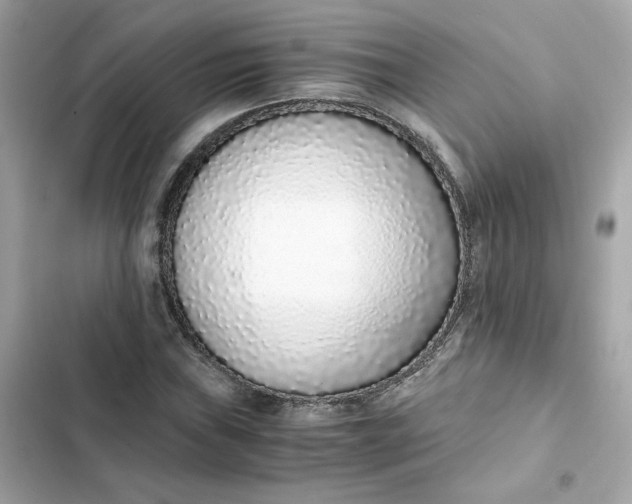 X0000102371019200808151830