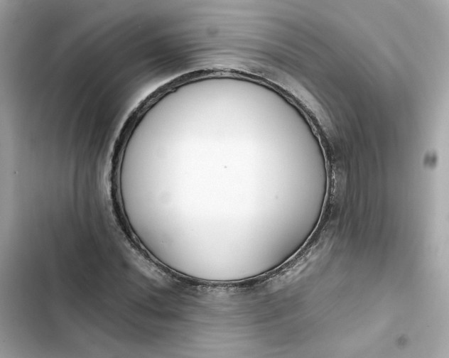 X0000102371020200808151830