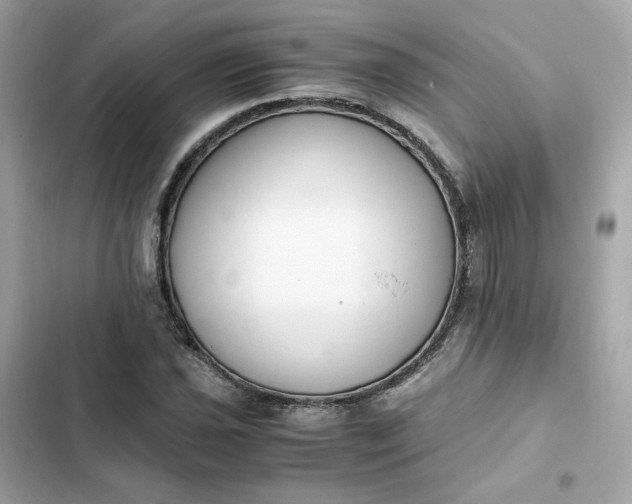 X0000102371021200808151830