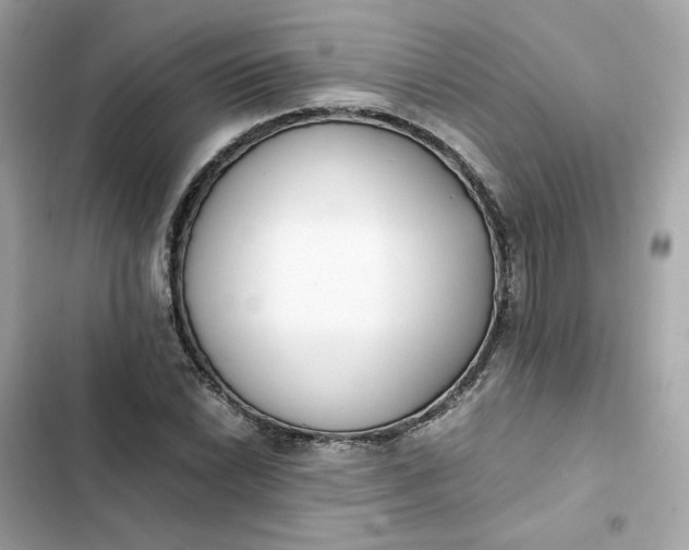 X0000102371022200808151830