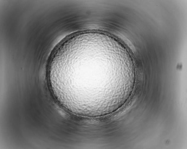 X0000102371023200808151830