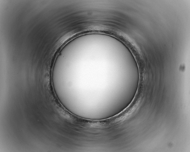 X0000102371025200808151830