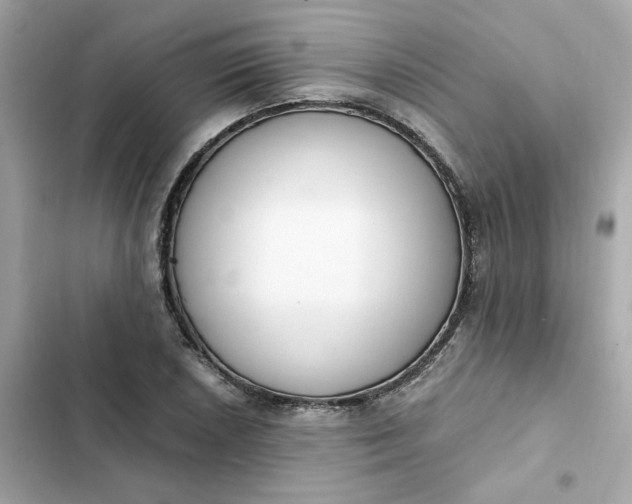 X0000102371026200808151830