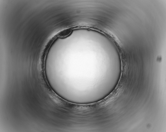 X0000102371027200808151830