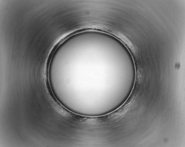 X0000102371028200808151830