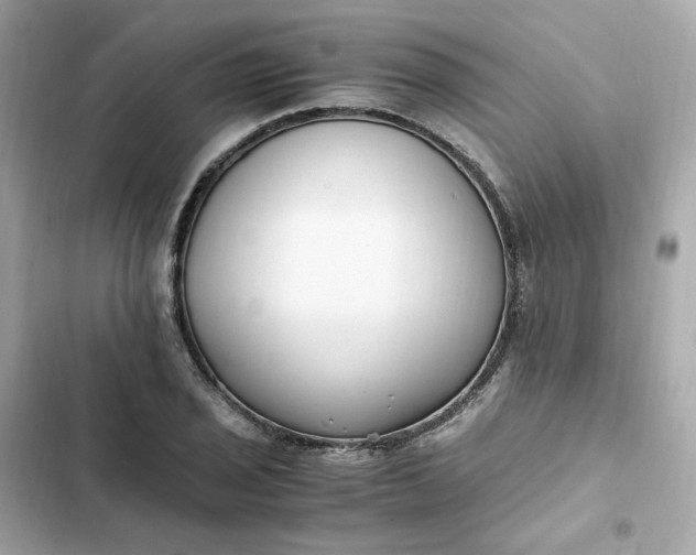 X0000102371029200808151830