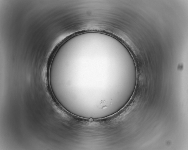 X0000102371030200808151830