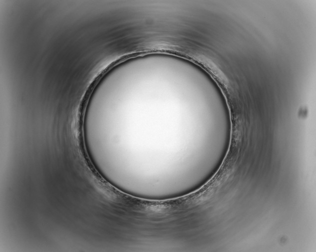 X0000102371031200808151830