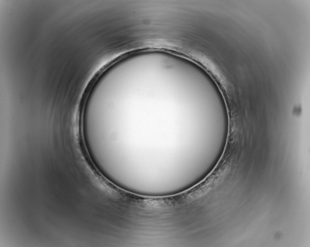 X0000102371032200808151830