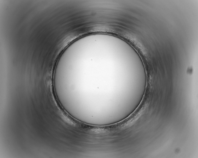 X0000102371033200808151830