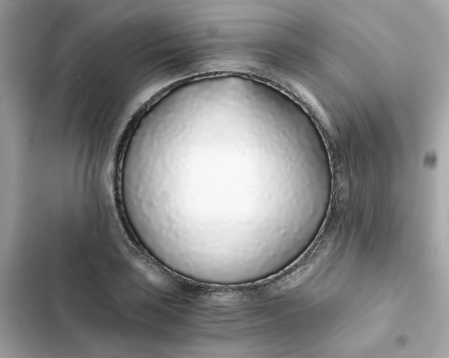 X0000102371035200808151830