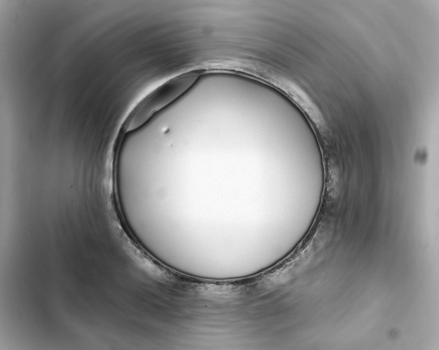 X0000102371036200808151830