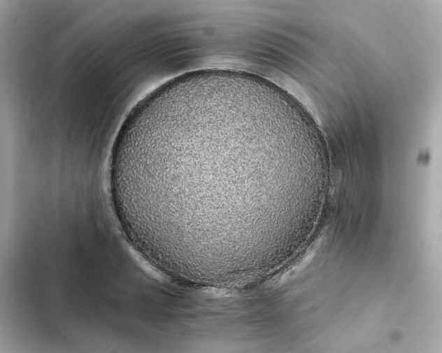 X0000102371037200808151830