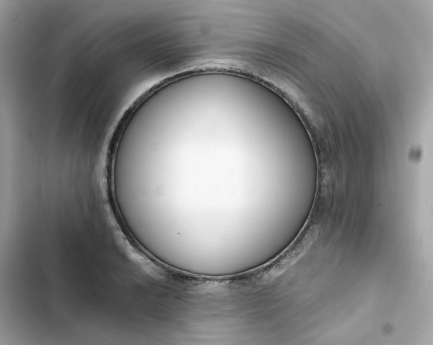 X0000102371038200808151830