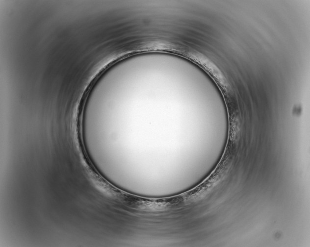 X0000102371039200808151830