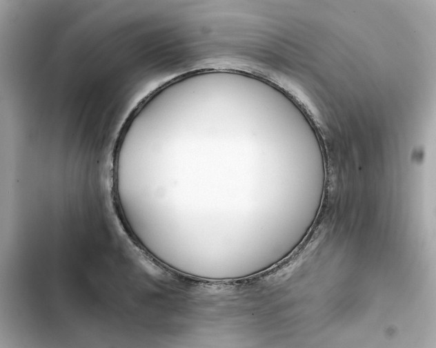 X0000102371040200808151830