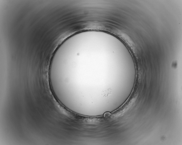 X0000102371041200808151830