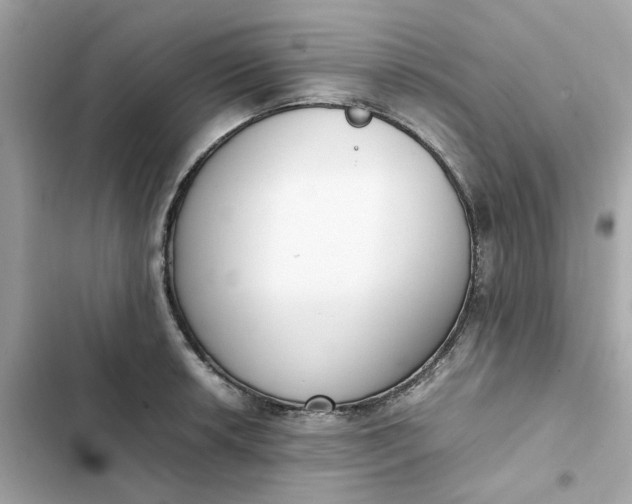 X0000102371042200808151830