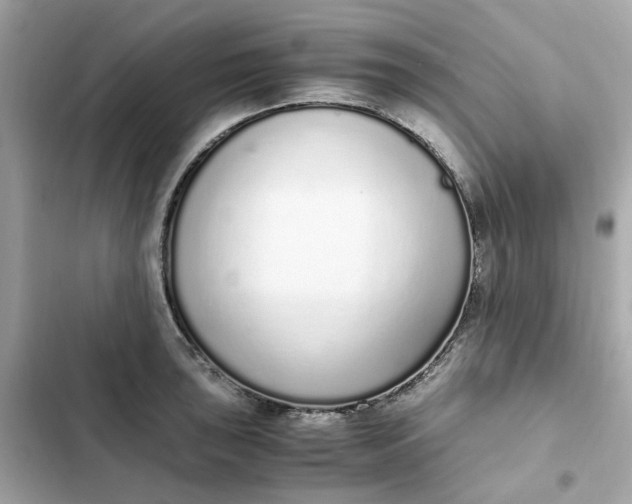 X0000102371043200808151830