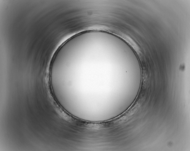 X0000102371044200808151830