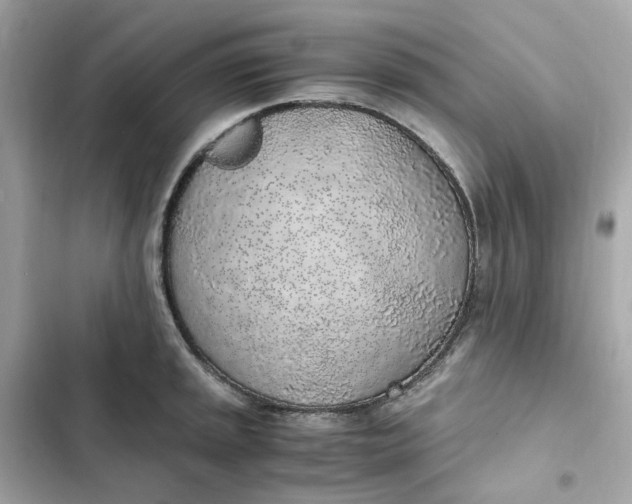 X0000102371045200808151830