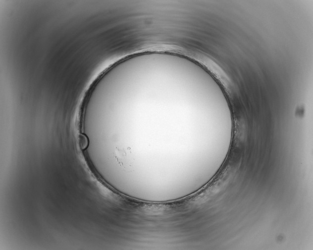 X0000102371046200808151830