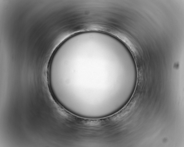 X0000102371047200808151830