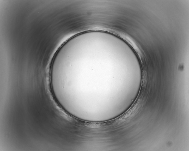 X0000102371048200808151830