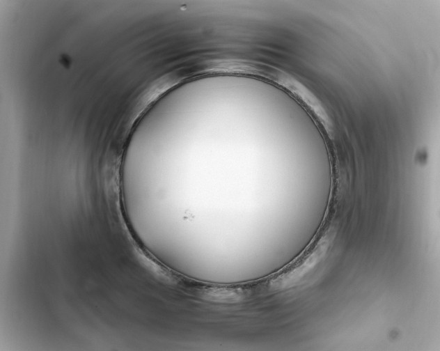 X0000102371049200808151830