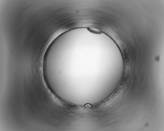 X0000102371050200808151830