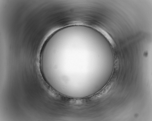 X0000102371051200808151830