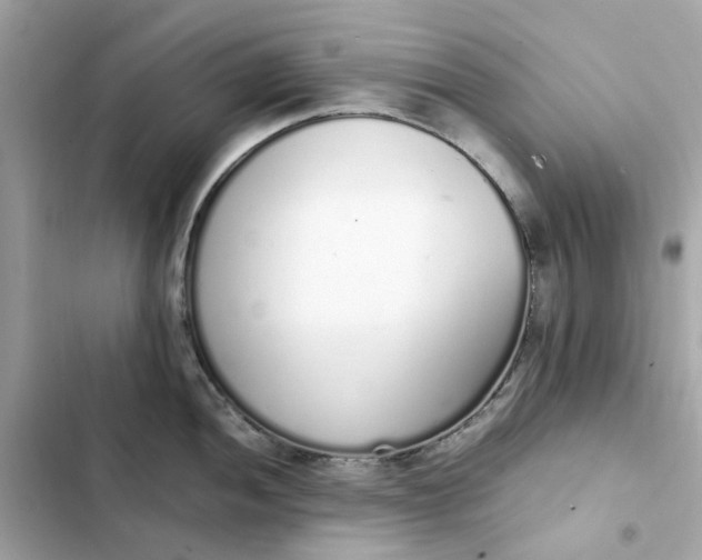 X0000102371052200808151830