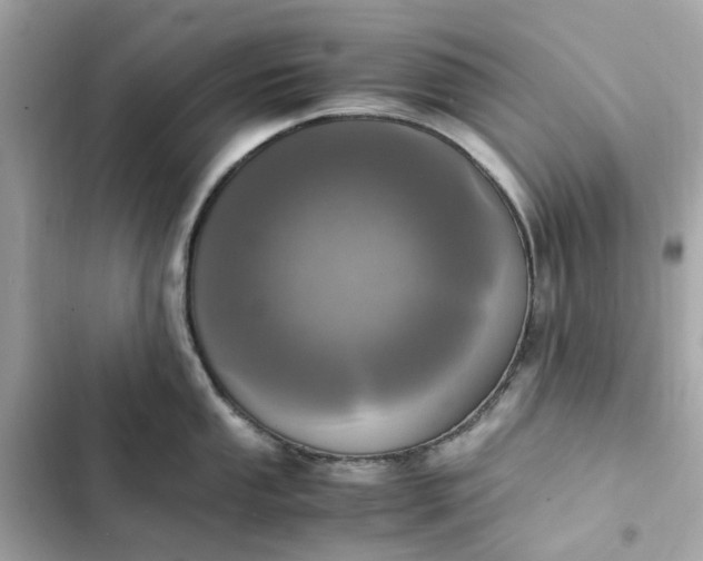 X0000102371053200808151830