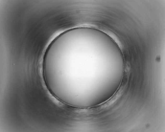 X0000102371054200808151831