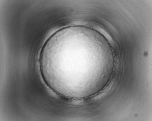 X0000102371055200808151831