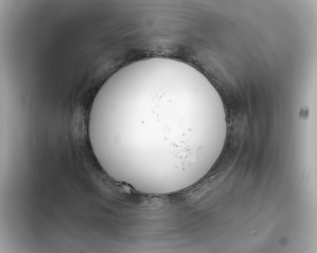 X0000102371058200808151830